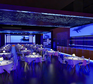 LED Screens Messevent